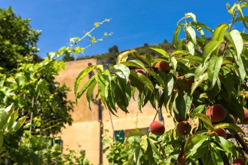 Agriturismo La Selva Finale Ligure Exterior foto