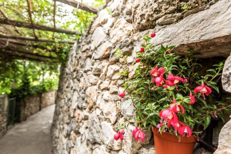 Agriturismo La Selva Finale Ligure Exterior foto