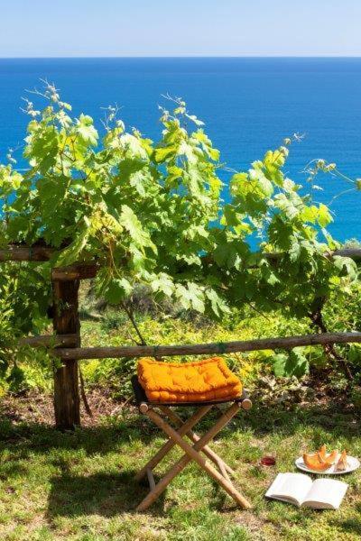 Agriturismo La Selva Finale Ligure Exterior foto