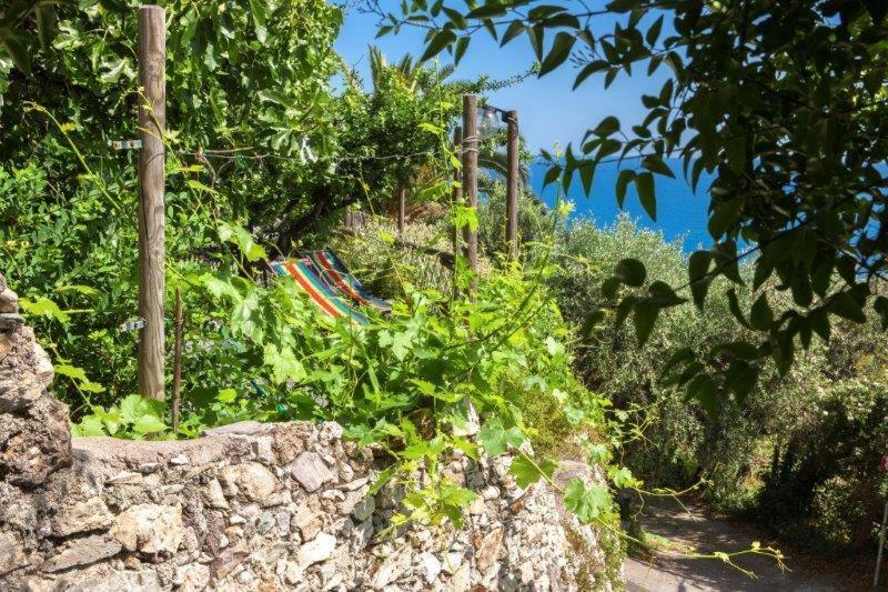 Agriturismo La Selva Finale Ligure Exterior foto