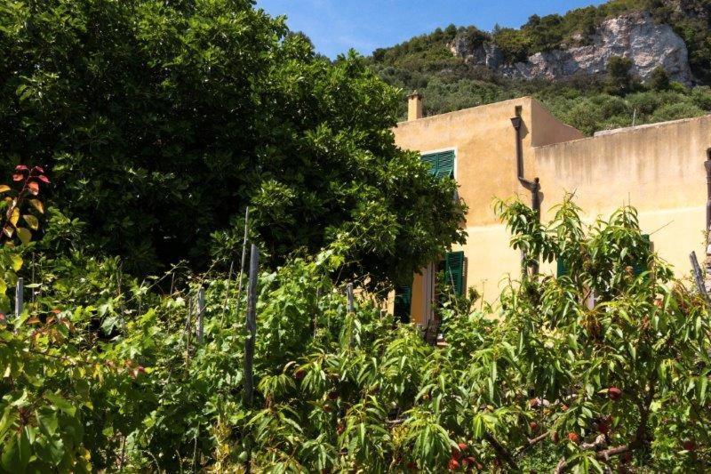 Agriturismo La Selva Finale Ligure Exterior foto