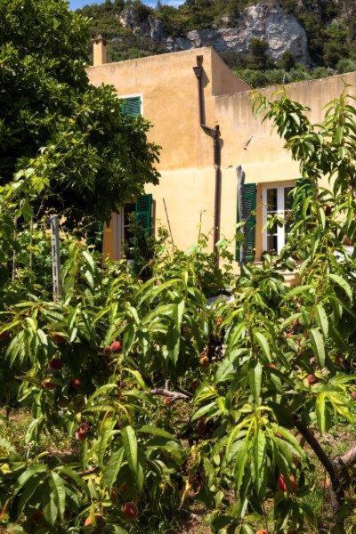 Agriturismo La Selva Finale Ligure Exterior foto