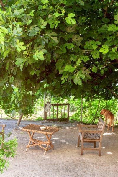 Agriturismo La Selva Finale Ligure Exterior foto